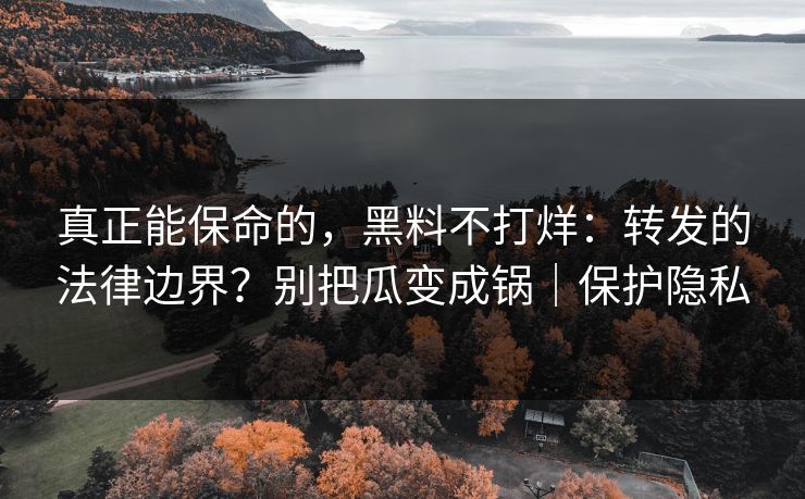 真正能保命的，黑料不打烊：转发的法律边界？别把瓜变成锅｜保护隐私