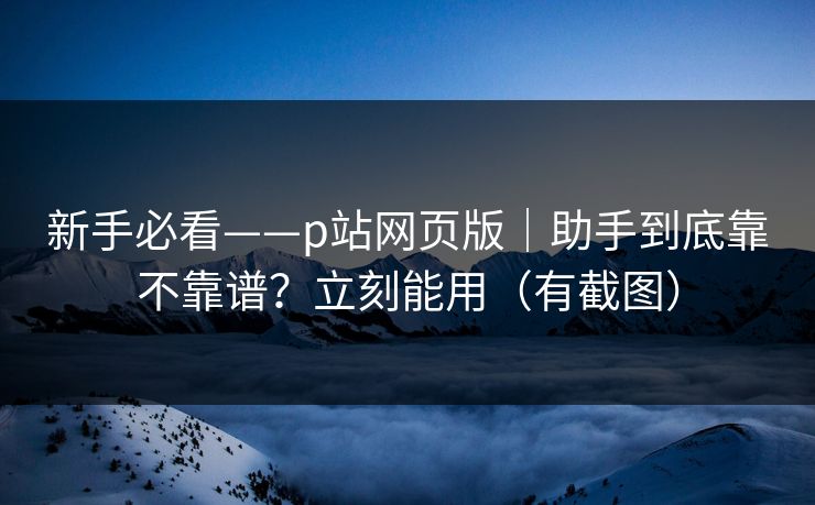 新手必看——p站网页版｜助手到底靠不靠谱？立刻能用（有截图）