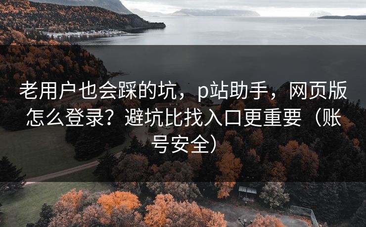 老用户也会踩的坑,p站助手,网页版怎么登录?避坑比找入口更重要(账号安全)