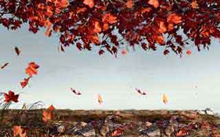 一篇讲透-蘑菇视频社区｜如何快速补完前情？看完就懂（反转在后面）