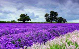 我以为自己懂了-p站入口别再乱点-最离谱的助手插件，细思极恐（实测有效）