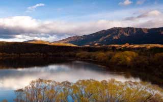 新手必看，p站助手-版权风险怎么避？别把账号交出去