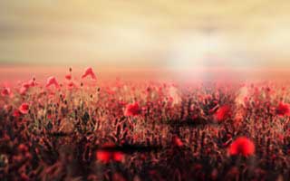 我反复回放了三遍｜蘑菇视频冲榜了-最有争议的片单，真相藏得太深