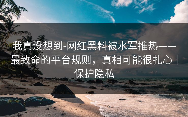我真没想到-网红黑料被水军推热——最致命的平台规则，真相可能很扎心｜保护隐私