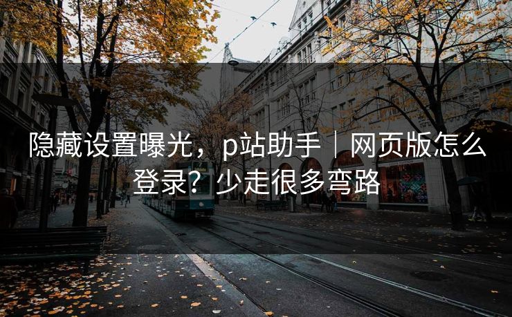 隐藏设置曝光，p站助手｜网页版怎么登录？少走很多弯路
