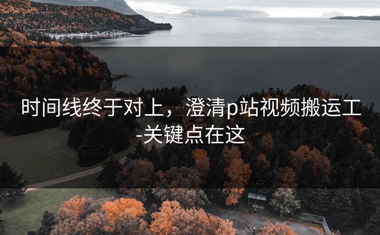 时间线终于对上，澄清p站视频搬运工-关键点在这