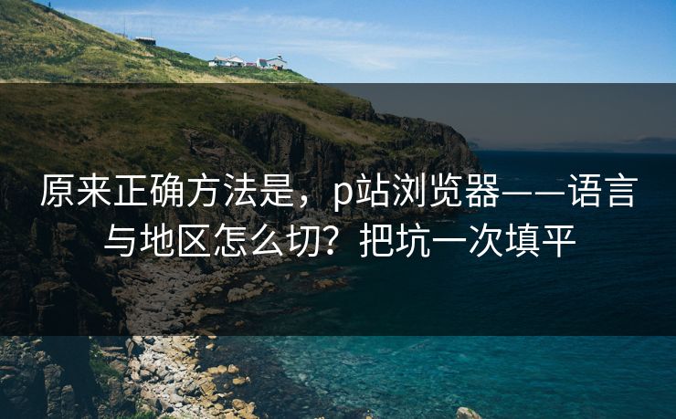 原来正确方法是，p站浏览器——语言与地区怎么切？把坑一次填平