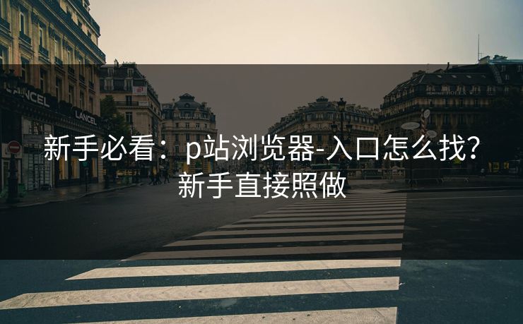 新手必看：p站浏览器-入口怎么找？新手直接照做