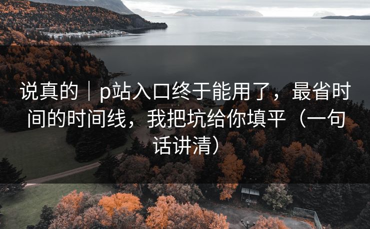 说真的｜p站入口终于能用了，最省时间的时间线，我把坑给你填平（一句话讲清）