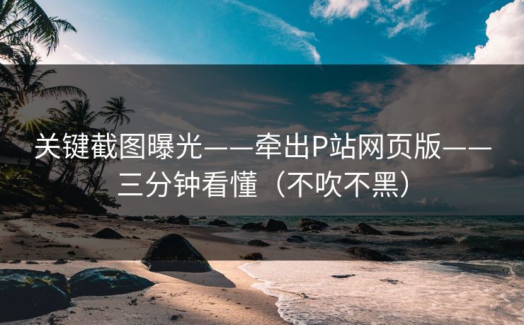 关键截图曝光——牵出P站网页版——三分钟看懂（不吹不黑）