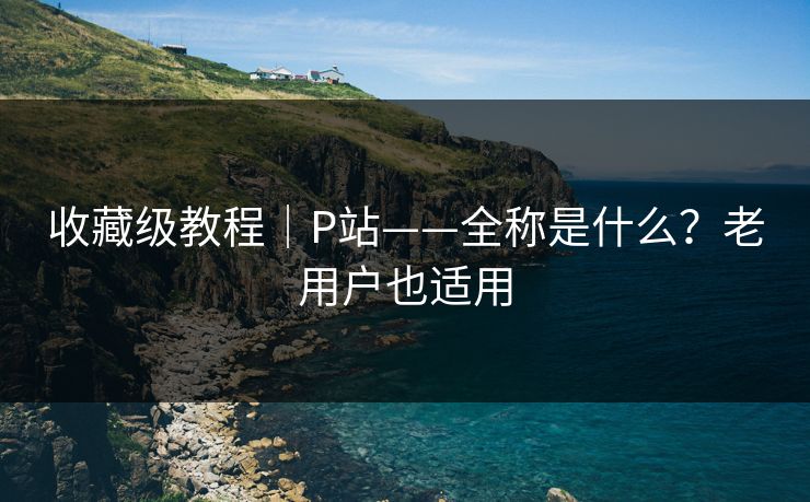 收藏级教程｜P站——全称是什么？老用户也适用