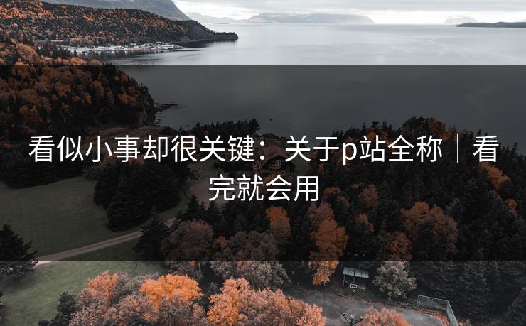 看似小事却很关键：关于p站全称｜看完就会用