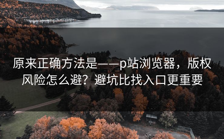 原来正确方法是——p站浏览器,版权风险怎么避?避坑比找入口更重要