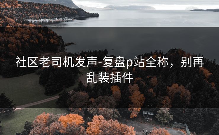 社区老司机发声-复盘p站全称，别再乱装插件